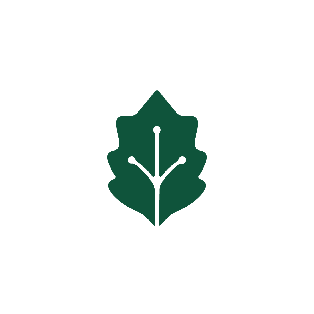 Logo foglia di quercia con connessioni